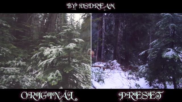 Christmas Color Presets Premiere Pro Presets