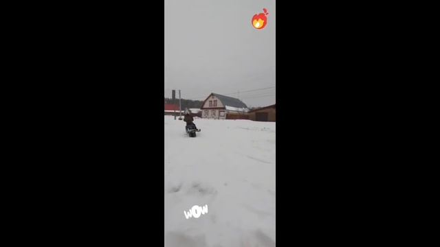Dingo T150 еще может смотреть онлайн