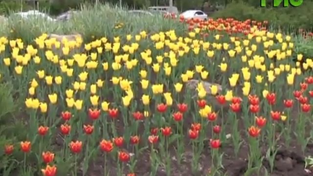 "Чистый четверг" (19.05.2016) смотреть онлайн