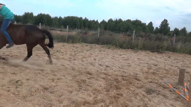 первый раз без седла :D смотреть онлайн