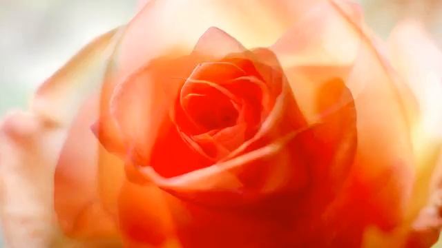 Хороший клип и видео онлайн смотреть онлайн