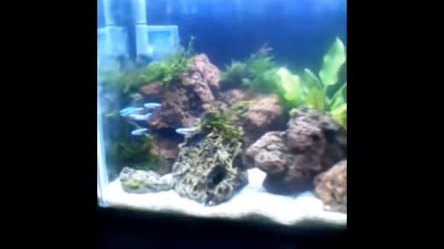 mini aqua scape смотреть онлайн