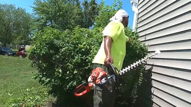 Landscape Like a Pro: How to prune and care for overgrown Forsythias смотреть онлайн