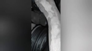 Фольксваген Джетта, замена помпы и обводных роликов.