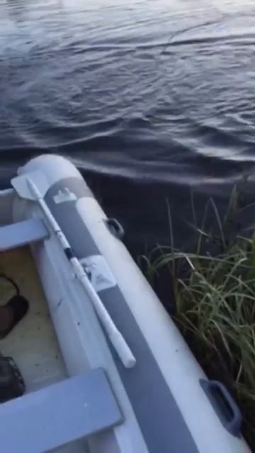 Щуку поймали на 10 кг смотреть онлайн