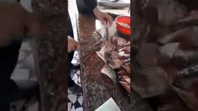 жарим толстолобика смотреть онлайн