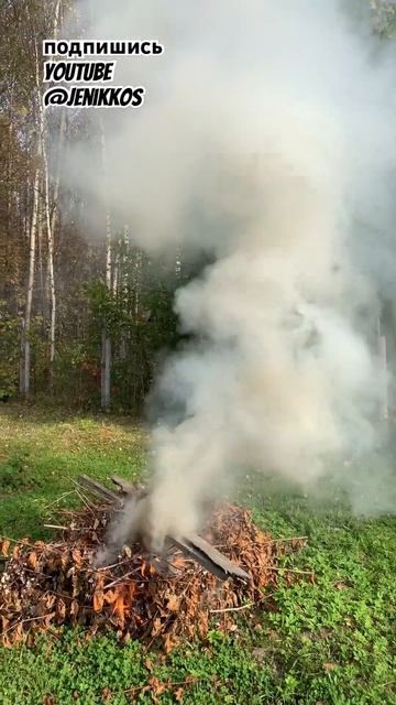 🍂🔥 #дача #костер #природа #отдых #шортс смотреть онлайн
