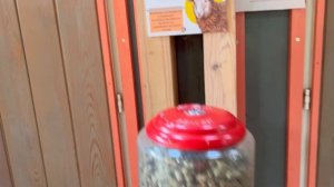 Выпускной 4 класс. Ферма ВДНХ