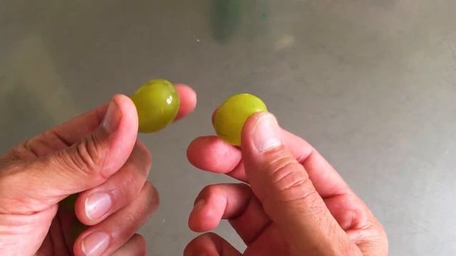 Cotton Candy Grapes!