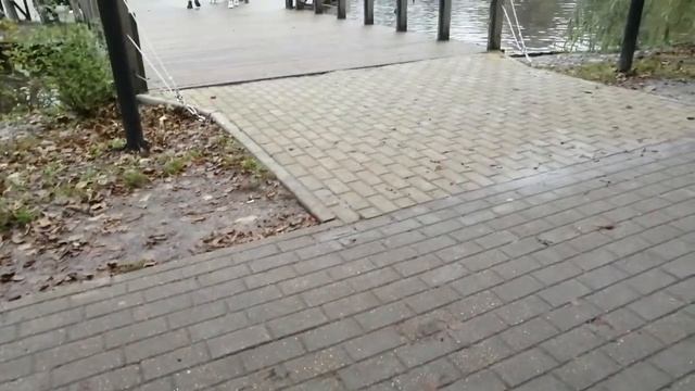 28.11.2021. Приём погоды аэропорта Храброво (Имени Королевы Елизаветы) Зеленоградск (Калининград) смотреть онлайн