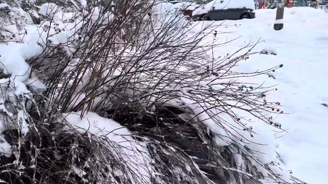 Высоковск ул.Текстильная 10 смотреть онлайн