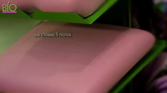 СТОЙКИ смотреть онлайн