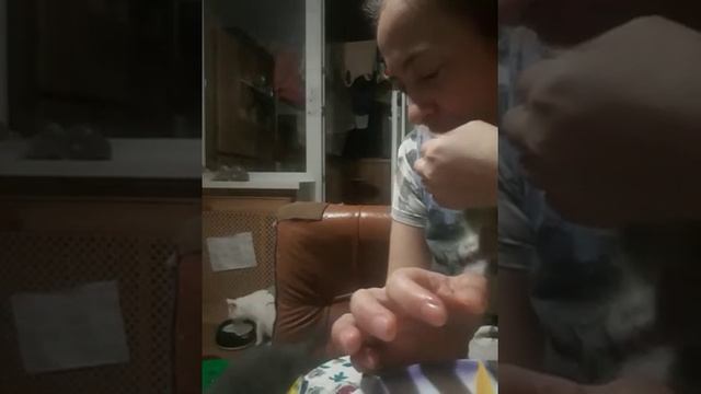 Важная новость. Рыбка сегодня у котят и Маи. смотреть онлайн