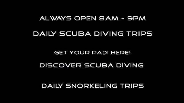 Pattaya Dive Centre : Scuba Diving Pattaya Thailand.AVI.avi смотреть онлайн