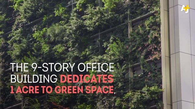 Office Farming In Japan May Transform Agriculture смотреть онлайн