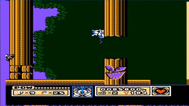 VGF consoles Tiny Toon NES смотреть онлайн