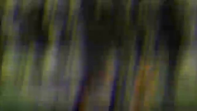 The Pussycat Dolls - Hush Hush. Zumba