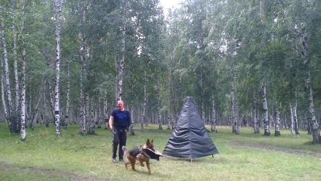 VIDEO0060 смотреть онлайн