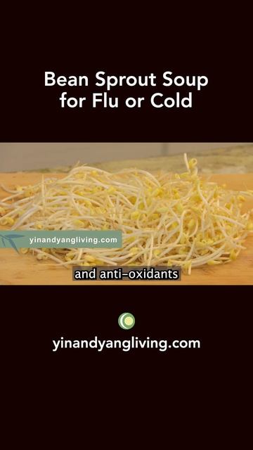 Flu Or Cold Remedy: Bean Sprout Tofu Soup #fluremedy  #coldremedy  #beansprouts #tofusoup #shorts