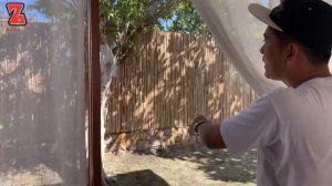 REVIEW FUSION CAM RANH NHA TRANG RESORT 5 SAO VIET NAM