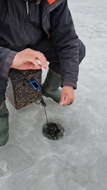 Подлещик на безмотылку смотреть онлайн