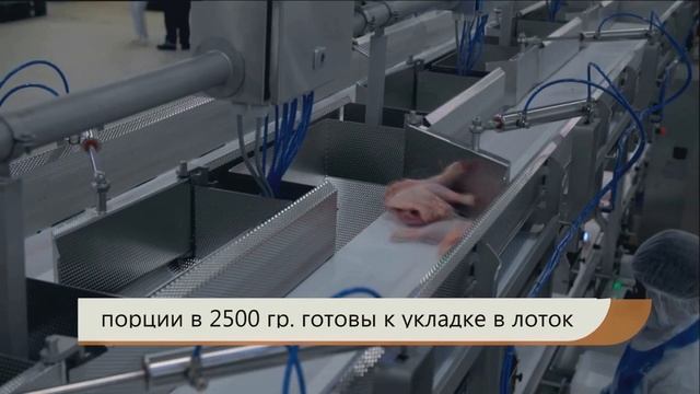 Фасовка и упаковка окорочков смотреть онлайн