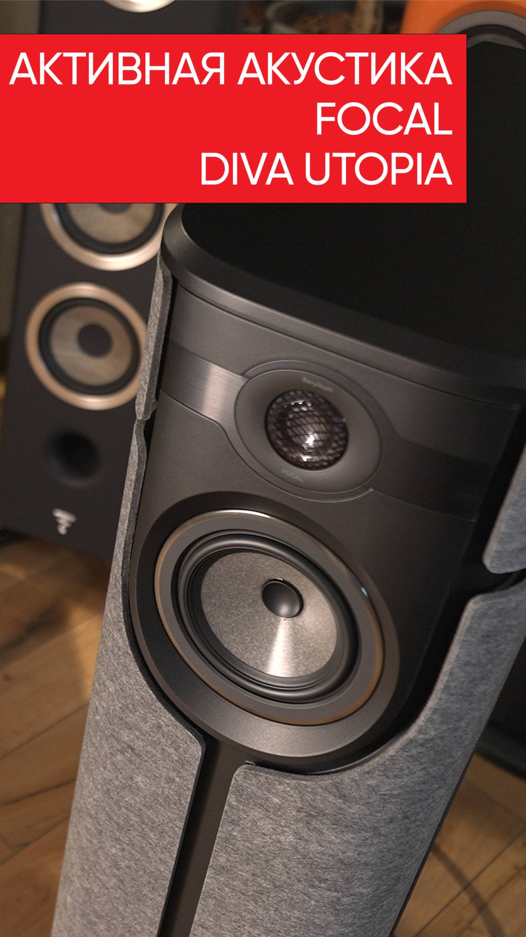 Focal Diva смотреть онлайн