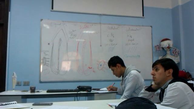 Oral Biology: Cementum 2016 смотреть онлайн