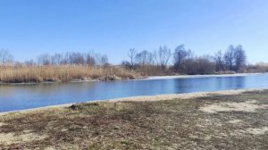 Река Битюг! г Бобров! 2025г
8 марта.