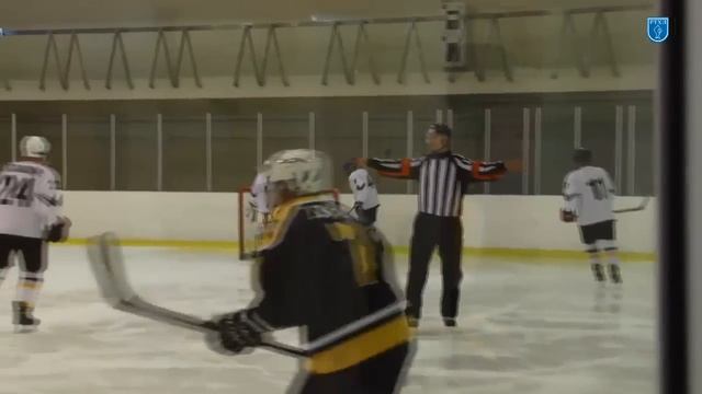Bulldogs vs ЛШХ Виртуоз смотреть онлайн