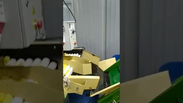 Линия мойки, чистки от кожуры, переборки, замачивания, фасовки, вакуумной упаковки овощей, картофеля смотреть онлайн