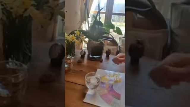 Результаты исследования ко всему нашего намерения.Ресурс Елена Прекрасная.11.04.2022 смотреть онлайн