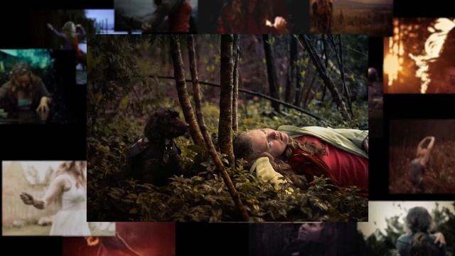 Lizzy Gadd: The Nature of a Self-Portrait Artist— SmugMug Films смотреть онлайн