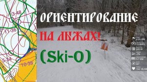 Ориентирование на лыжах - ЧиП Смоленской области, ЛГ - классика, СЦ Каменка - 02.03.2025