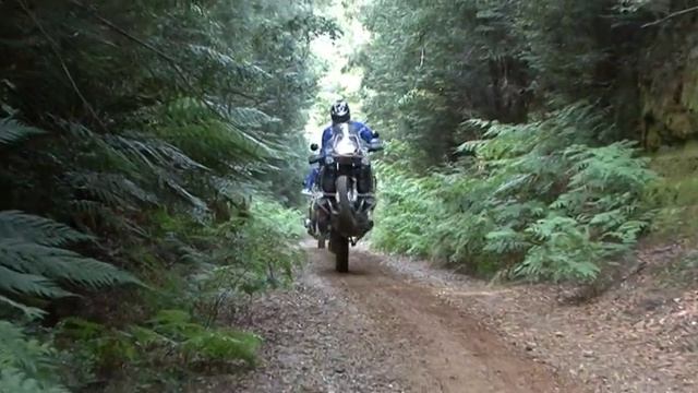 2009 BMW GS Safari Tasmania DVD смотреть онлайн