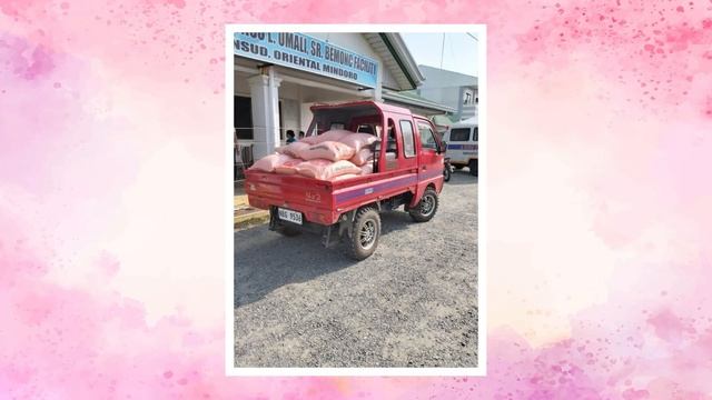Sako-sakong bigas ibinahagi sa mga kababayan sa Mindoro | Princess ACM смотреть онлайн