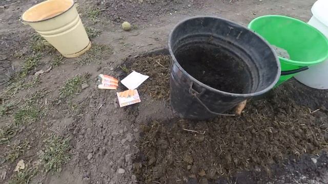 Сеем морковь вместе. смотреть онлайн