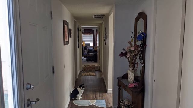 360 E Paseo Verde смотреть онлайн