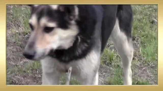 Моя дружная семейка смотреть онлайн