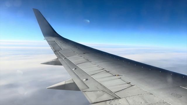Нижневартовск - Москва Boeing 737 Utair смотреть онлайн