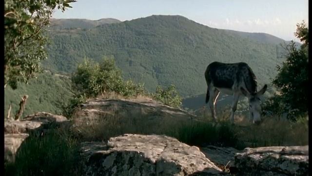 Fin D'été