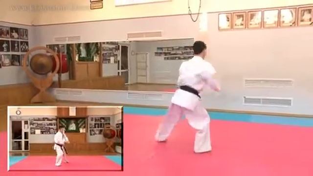 Ушу тренер-преподаватель Киселева Д.С. смотреть онлайн