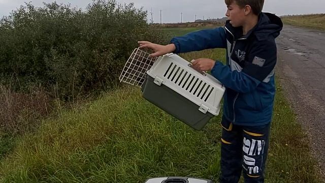 Выпуск! Осоед. 30.09.22 г. смотреть онлайн