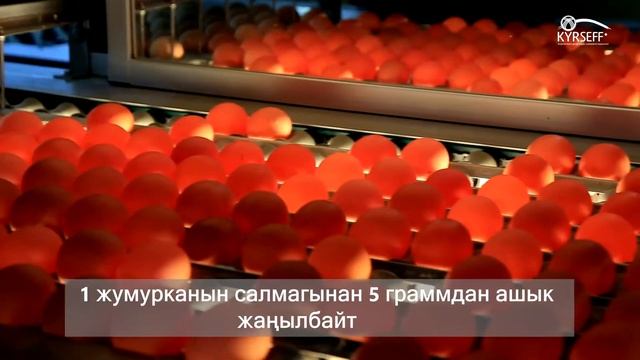 ТРИ-Т: Энергоэффективность в птицефабрике смотреть онлайн