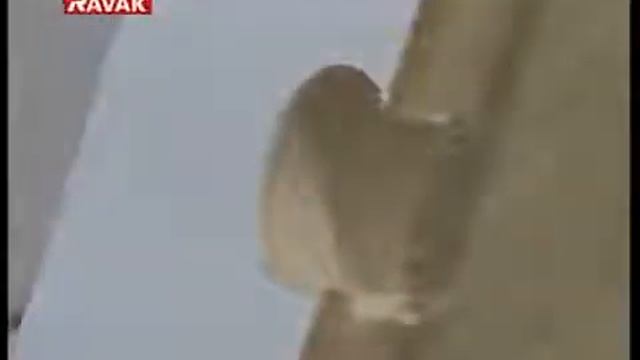 Поддон для душа Ravak Ronda