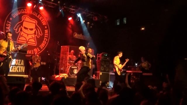 DUBIOZA KOLEKTIV - Free Mp3 | The Pirate Bay Song | Salamandra 2014