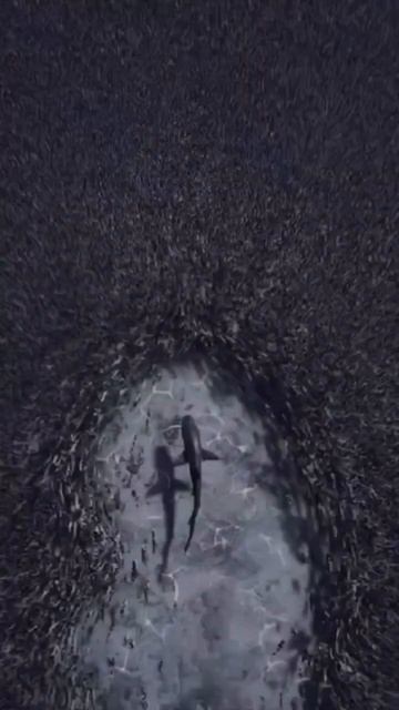 Когда караван идет в правильном направлении, собаки, как правило, лают особенно громко!