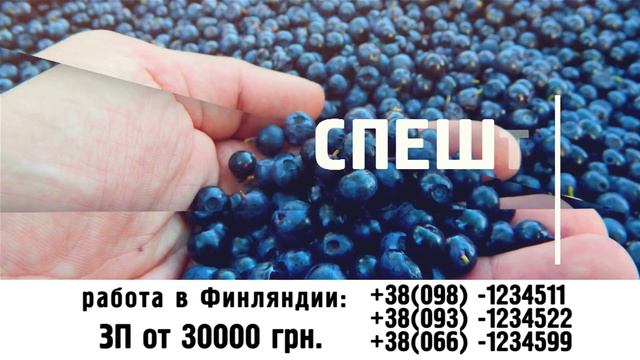 Работа в Финляндии смотреть онлайн