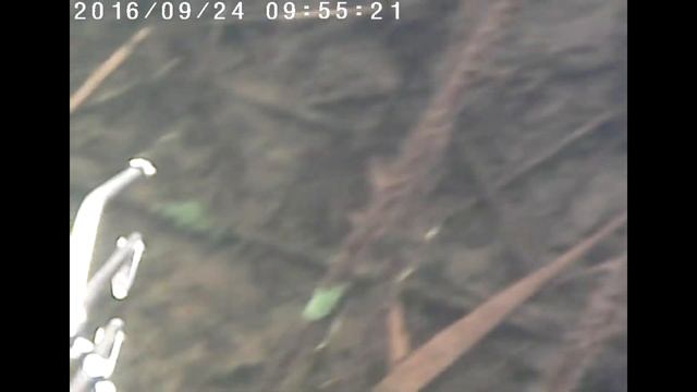 Подводная охота на р Савала  В поиске рыбы 2!!!