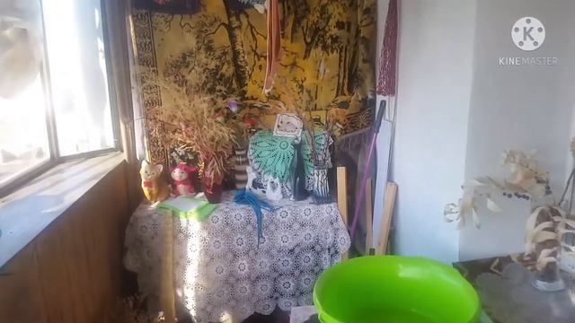 Пересадила лук)) моя лоджия и ретро уголок)) смотреть онлайн